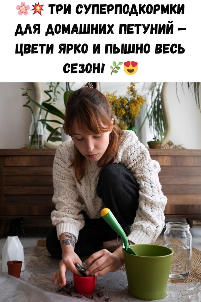 Три вида подкормки для домашних петуний. Буйное цветение гарантированно! Такая красота — глаз не отвести.