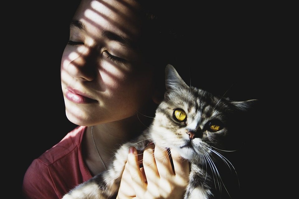 15 верных признаков кошачьей привязанности