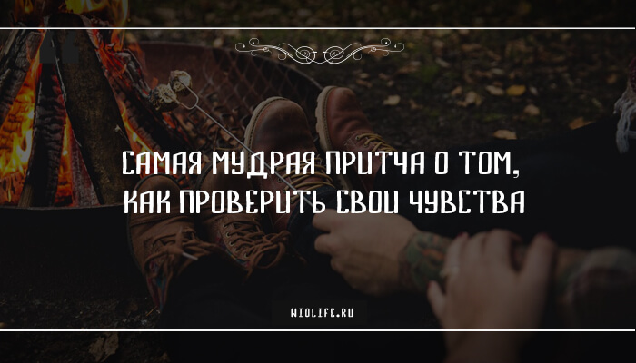 Самая мудрая притча о том, как проверить свои чувства Самая мудрая притча о том, как проверить свои чувства