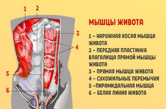 Золотое упражнение пилатеса. «Сотня» для абсолютно всех мышц брюшной полости!