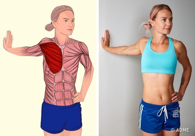 18 изображений, которые наглядно покажут, какие мышцы вы растягиваете