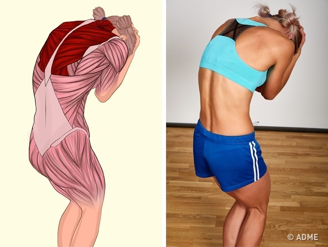 18 изображений, которые наглядно покажут, какие мышцы вы растягиваете