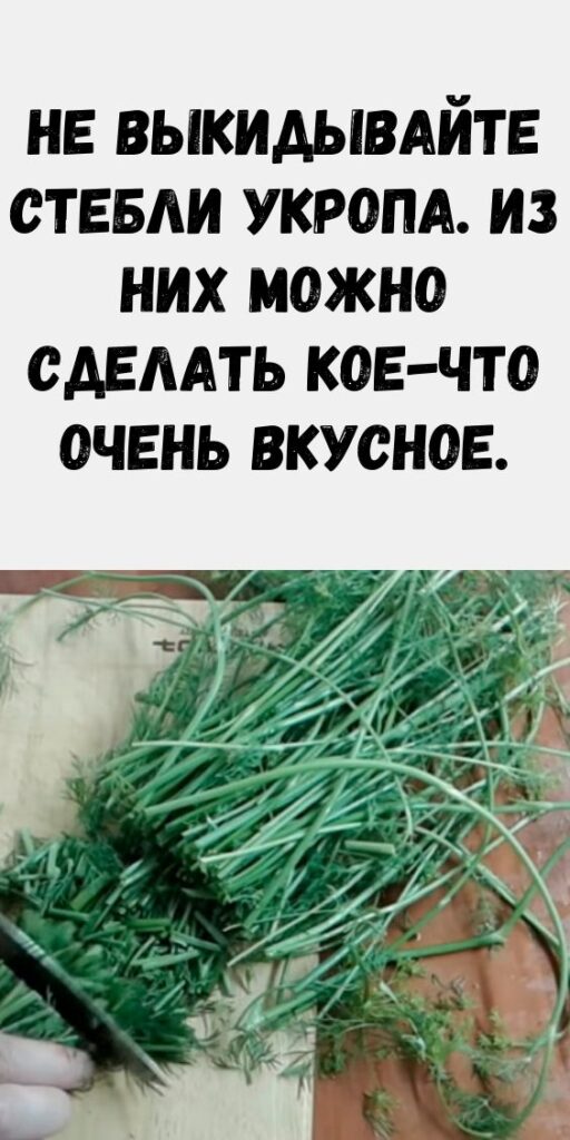 Не выкидывайте стебли укропа. Из них можно сделать кое-что очень вкусное. Не выкидывайте стебли укропа. Из них можно сделать кое-что очень вкусное.