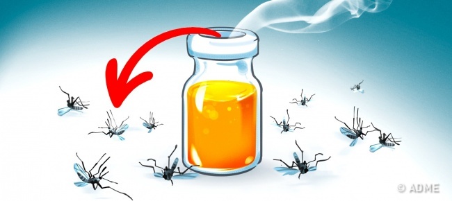 11 убийственных ароматов от комаров