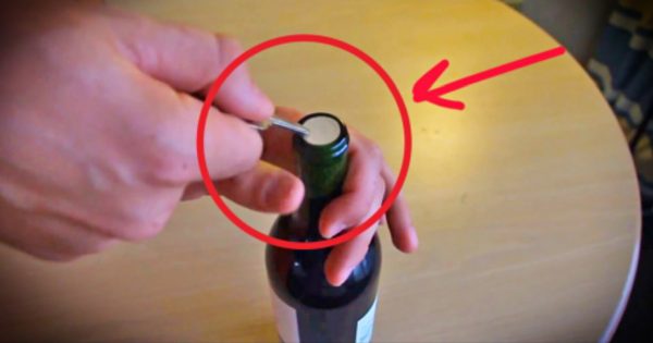 Как открыть бутылку вина без помощи штопора: трюки, которые спасли не одно застолье!