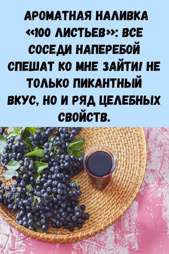 Ароматная наливка &laquo;100 листьев&raquo;: все соседи наперебой спешат ко мне зайти! Не только пикантный вкус, но и ряд целебных свойств.