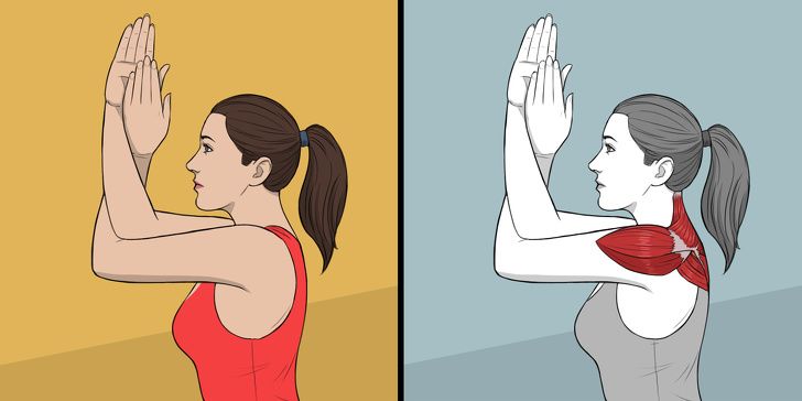 9 упражнений для растяжки, которые могут заменить поход к массажисту