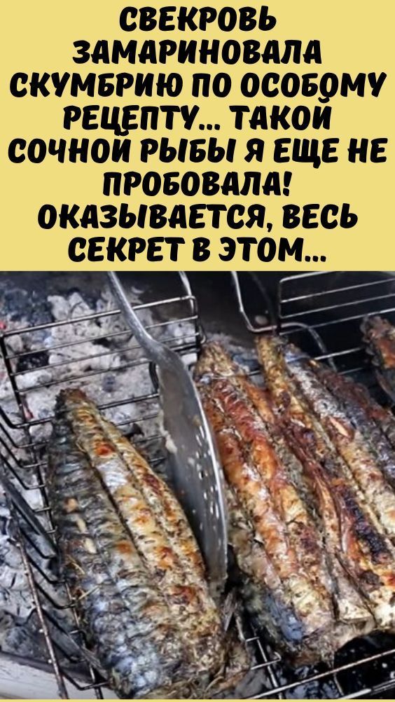 Свекровь замариновала скумбрию по особому рецепту… Такой сочной рыбы я еще не пробовала! Оказывается, весь секрет в этом… Свекровь замариновала скумбрию по особому рецепту… Такой сочной рыбы я еще не пробовала! Оказывается, весь секрет в этом…