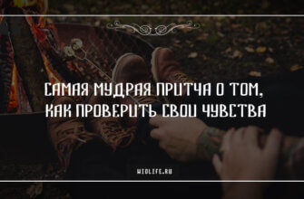 Самая мудрая притча о том, как проверить свои чувства
