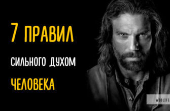 7 правил сильного духом человека